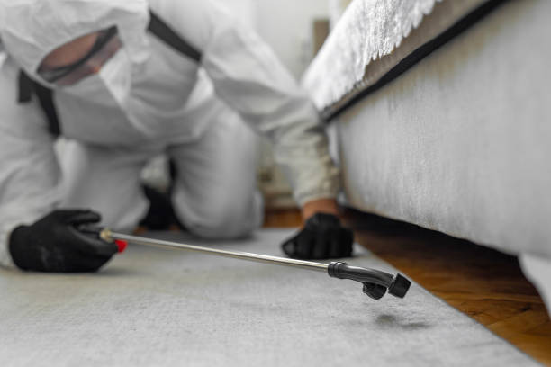 Professional Mosquito Control technician working in Arvada, CO