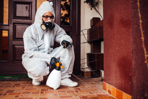 Reliable Mosquito Control contractor in Arvada, CO by Nex Pest Control